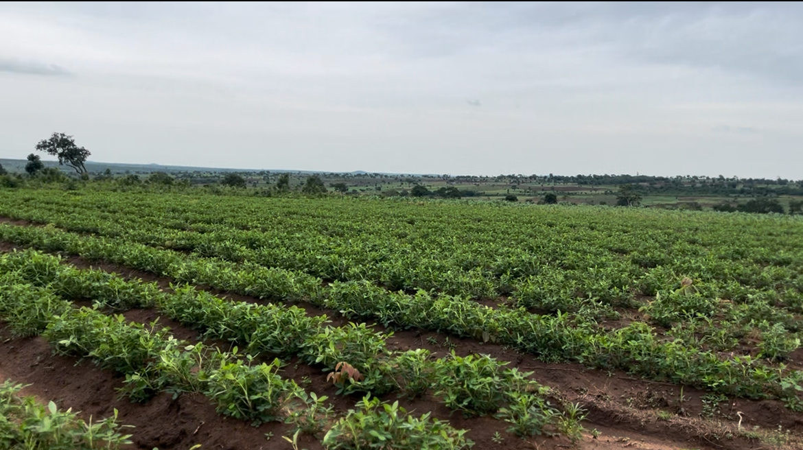 Top 6 Fast-Growing Areas to Buy Property in Ilorin