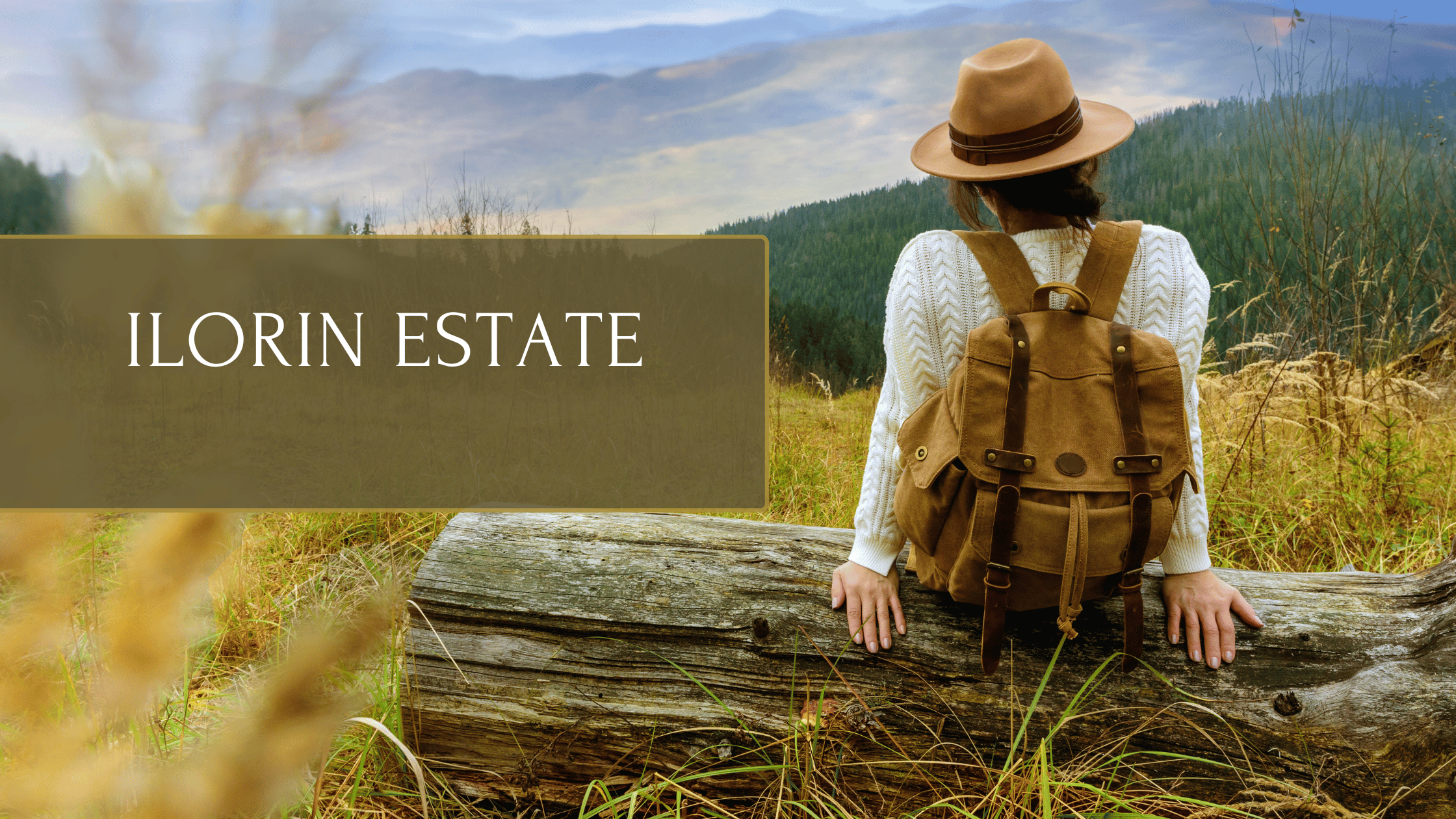 Ilorin Real Estate: Why Now is the Best Time to Invest in Property